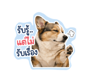 855035950