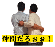 855036377
