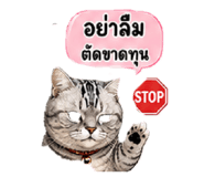 855037880