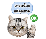855037888