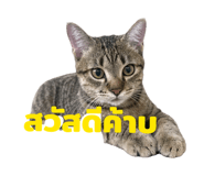 855040129