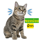 855040134