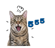855040138