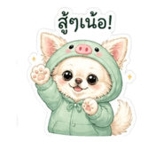 855040458
