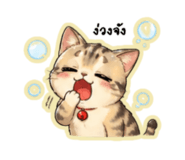 855047397