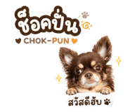 855047441
