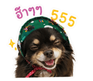 855047456