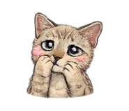 855049154