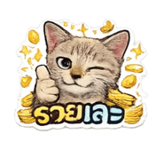 855049160