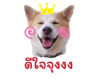 855049450