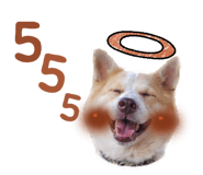 855049456
