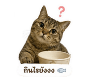 855050395