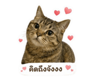 855050396
