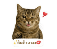 855050400