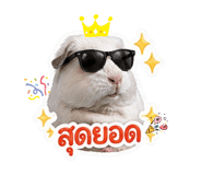 855051369