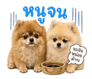 855053950