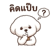 855054548