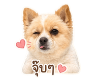 855055565