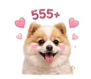855055576