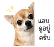 855056569