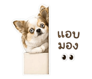 855056744