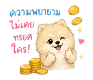 855056773