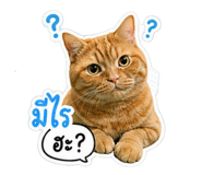 855059043