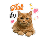 855059045