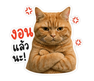 855059048