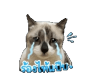 855062386