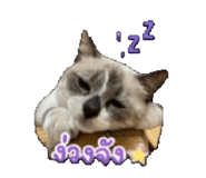 855062387