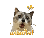 855062388