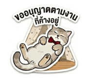 855064563