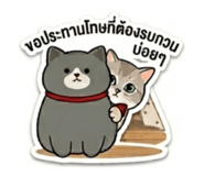 855064566