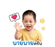 855065146