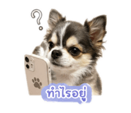 855066039