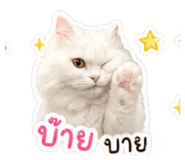 855066658