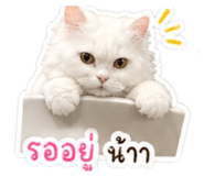 855066665