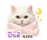 855066671