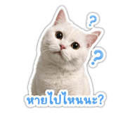 855069547
