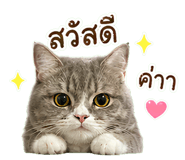 855069833