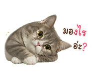 855069840