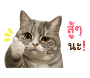 855069845