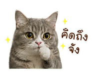 855069854