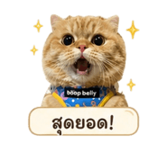 855071199
