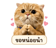 855071205