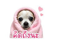 855072138