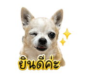 855072142