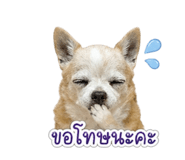 855072143