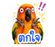 855072286